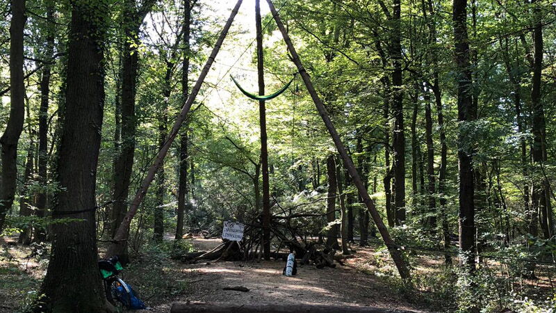 Hambacher Forst