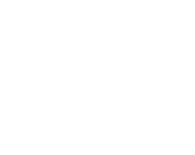 Icon Hybrid-Events