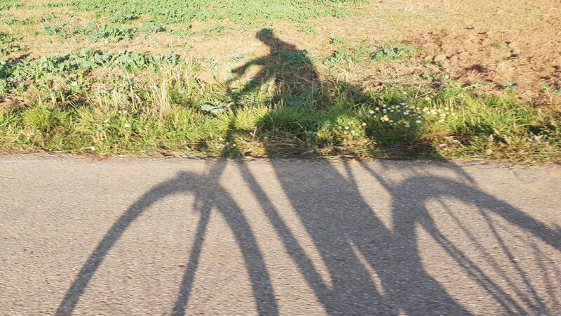 Mit dem Rad zur Arbeit