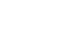 Icon Online-Events
