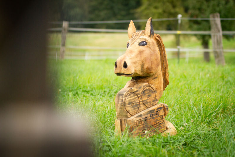 Holz-Figur mit Pferdekopf und Kamerakörper